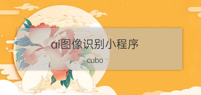 ai图像识别小程序 cubo ai使用说明？